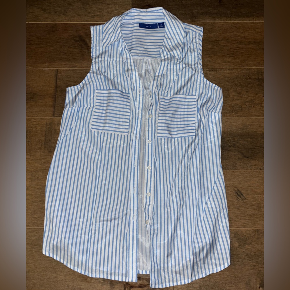 Apt. 9 Light Blue and White Striped Top